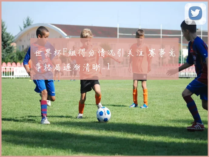 世界杯F组得分情况引关注 赛事竞争格局逐渐清晰_1