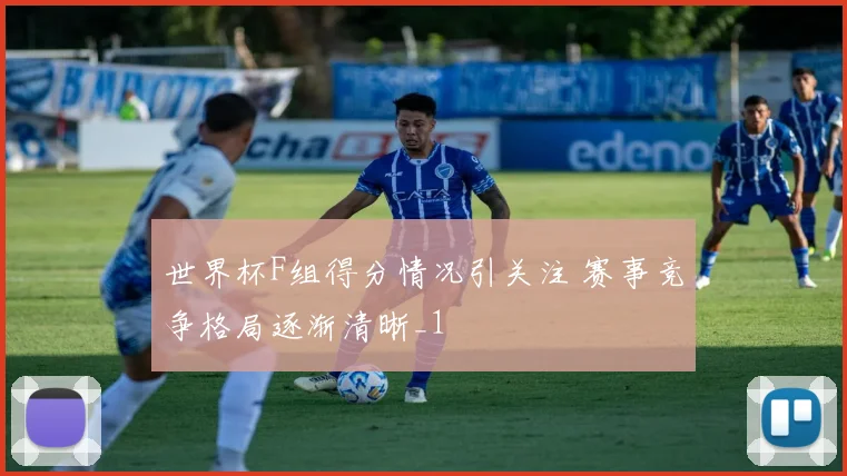 世界杯F组得分情况引关注 赛事竞争格局逐渐清晰_1